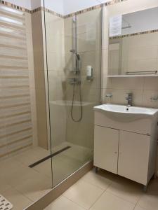 阿爾巴·尤利亞·的住宿－Hotel Prestige，带淋浴和盥洗盆的浴室