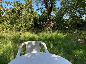 ノワジー・ル・セックにあるCozy home&garden (Paris/Disney)のりんご園の芝生に座る白い椅子