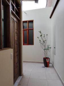 a hallway with a door and a potted plant at Lolitas Alojamiento Quillacollo in Cochabamba
