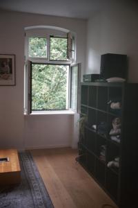 a living room with a window and a book shelf at Room in the center of Berlin in Berlin