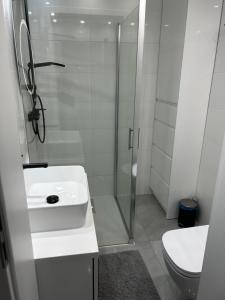 uma casa de banho com um chuveiro, um lavatório e um WC. em APARTAMENT OFELIA em Darłowo