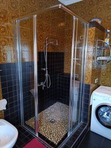 a shower in a bathroom with a sink and a washing machine at Appartamento in corte in Mozzecane