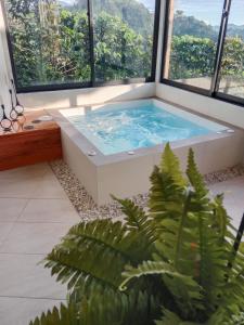 Atardeceres del Cafe في مانيزاليس: حوض استحمام ساخن في غرفة مع نوافذ كبيرة