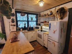 Kuchyň nebo kuchyňský kout v ubytování Cozy AF Jungle-House Hideaway + 30 fotografií