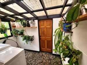 una habitación con una puerta y un montón de plantas en Cozy AF Jungle-House Hideaway, en Tampa