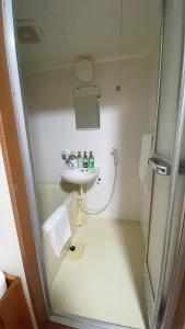 a bathroom with a sink and a shower at Takamatsu-205 in Takamatsu