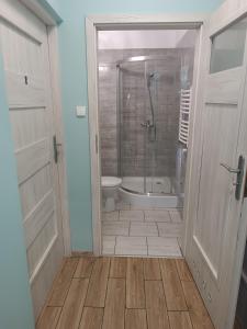 a bathroom with a shower and a toilet at U Józefa in Tychy