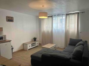 een woonkamer met een bank en een tafel bij Appartement proche centre ville in Castres