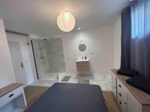 een badkamer met een douche en een wastafel en een douche bij Appartement proche centre ville in Castres