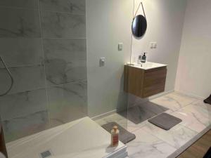 een badkamer met een douche en een wastafel en een fles bij Appartement proche centre ville in Castres