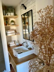 a bathroom with a sink and a mirror and a plant at La Grange Neuve in Plougonvelin