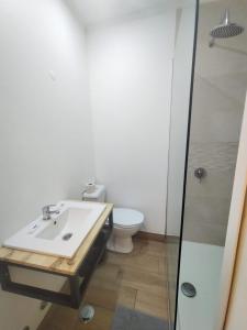 a bathroom with a sink and a toilet at Figueira House in Beira Minho in Lisbon