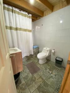 a bathroom with a toilet and a shower curtain at Casa Neltume Huilo Huilo in Neltume