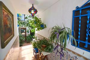Vonkajšia záhrada v ubytovaní Casa el "Tablao de las Almendras"