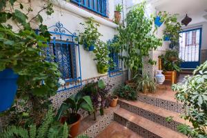Vonkajšia záhrada v ubytovaní Casa el "Tablao de las Almendras"