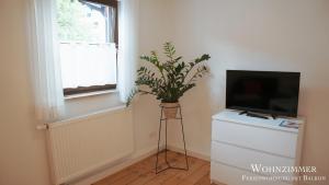 a plant sitting on a dresser next to a television at Montana - Ferienwohnung am Laber in Oberammergau