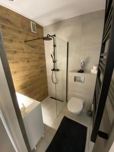 a bathroom with a shower and a toilet and a sink at Love Glow Studio in Krakow