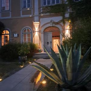 a plant in front of a house at night at Apartments in Villa Crusca in Bad Bleiberg
