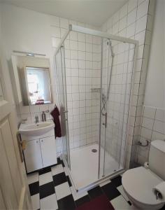 a bathroom with a shower and a sink and a toilet at Chalupa Čížkovská desítka 