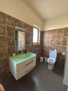 ein Bad mit einem Waschbecken und einem WC in der Unterkunft Villa Aspa in Nafplio