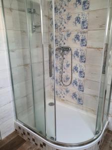 W łazience znajduje się prysznic ze szklanymi drzwiami. w obiekcie Penzión Eva w mieście Stará Voda