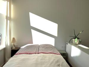 - une chambre blanche avec un lit et une fenêtre dans l'établissement Cozy studio in Sv Stepono g., à Vilnius