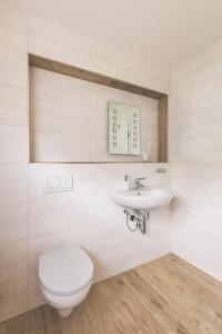 a bathroom with a toilet and a sink at Gästehaus Ehrhardt in Merseburg +21 photos