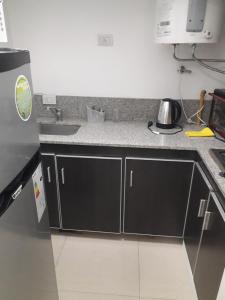 Una cocina con gabinetes negros y un fregadero. en Centro Suit, en San Juan 1 foto más