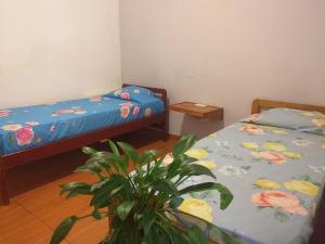 a bedroom with two beds and a potted plant at Residencial Santiago Habitaciones Hotel bed & break fast in Posadas