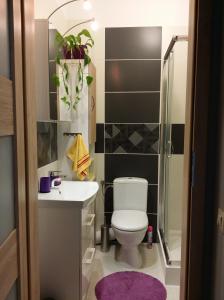 La salle de bains est pourvue de toilettes, d'un lavabo et d'une douche. dans l'établissement Apartamenty Słupsk, à Słupsk