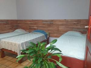 a room with two beds and a potted plant at Residencial Santiago Habitaciones Hotel bed & break fast in Posadas