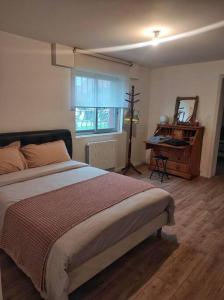 1 dormitorio con cama, espejo y escritorio en Joli appartement individuel dans maison en Ostwald