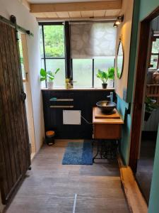 een badkamer met een wastafel en een spiegel bij de Tweelingen in Schoonloo