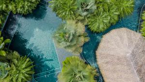 an overhead view of a pool of water with palm trees at Tabacón Thermal Resort & Spa in Fortuna
