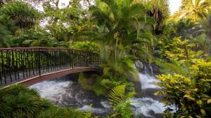 a bridge over a river with a waterfall at Tabacón Thermal Resort & Spa in Fortuna