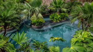 an overhead view of a pool in a resort with palm trees at Tabacón Thermal Resort & Spa in Fortuna