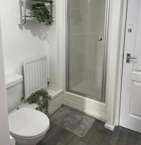 a white bathroom with a toilet and a shower at Buckshaw Snoozy in Heapey