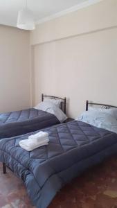2 Betten nebeneinander in einem Zimmer in der Unterkunft Βαγγέλης in Kardítsa