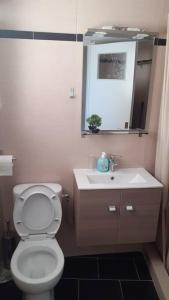 ein Badezimmer mit einem weißen WC und einem Waschbecken in der Unterkunft Βαγγέλης in Kardítsa