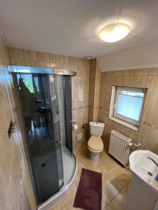 a bathroom with a shower and a toilet and a sink at Pokoje gościnne U Sylwii in Jarosławiec