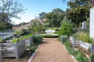 a garden with a bench in the middle at Chez Botanica Apartment Constantia in Cape Town