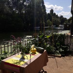 una mesa con plantas en ella junto a un cuerpo de agua en Maison de charme au bord de l'eau, en Villennes-sur-Seine