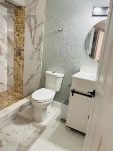 W łazience znajduje się toaleta, umywalka i prysznic. w obiekcie 3bdrm Fruit Tree Home near downtown Orlando w Orlando