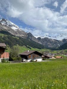 a field of green grass with mountains in the background at Chalet Sunneggli in Adelboden