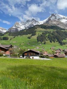 a green field with houses and mountains in the background at Chalet Sunneggli in Adelboden