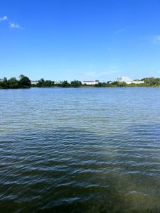 una gran masa de agua con árboles en el fondo en 3brdrm home near Downtown Orlando and Winterpark, en Orlando