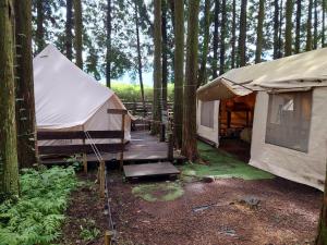 une tente et une passerelle en bois dans une forêt dans l'établissement Minamiaso STAYHAPPY - Vacation STAY 28451v, à Shimoda