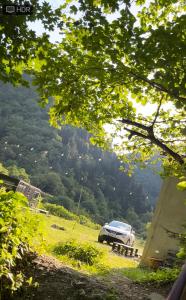 a car parked in a field with a mountain in the background at Cozy house in the forest in Borjomi