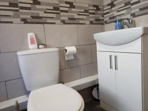 a bathroom with a white toilet and a sink at Brand New Cosy Apartment 3 Sleep, Garden access Free Wi-Fi & Parking in Newport