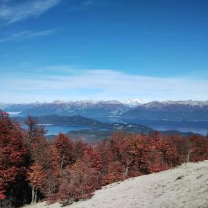 desde la cima de una colina con árboles y montañas en 4 Vientos, en Villa La Angostura